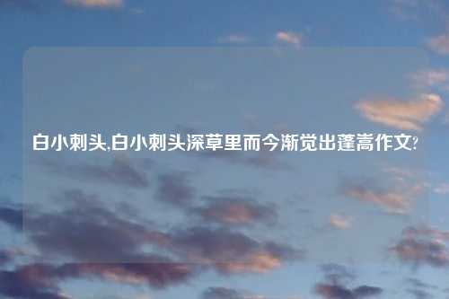 白小刺头,白小刺头深草里而今渐觉出蓬嵩作文?