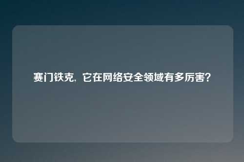 赛门铁克,  它在网络安全领域有多厉害？