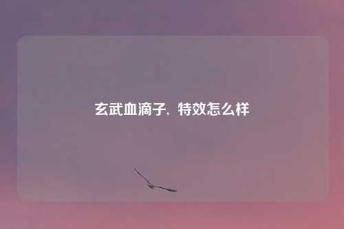 玄武血滴子,  特效怎么样
