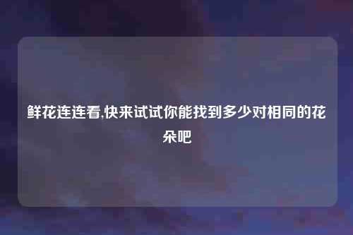 鲜花连连看,快来试试你能找到多少对相同的花朵吧