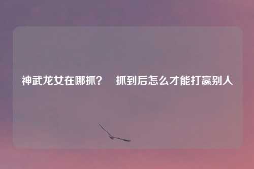 神武龙女在哪抓？   抓到后怎么才能打赢别人