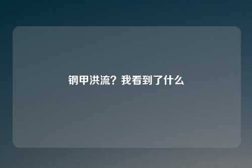 钢甲洪流?我看到了什么
