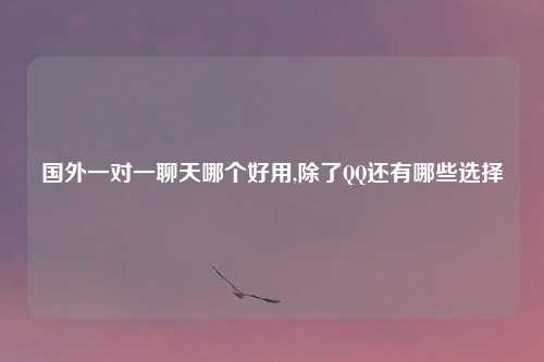 国外一对一聊天哪个好用,除了QQ还有哪些选择