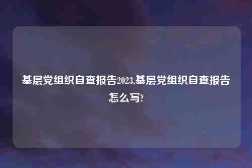 基层党组织自查报告2023,基层党组织自查报告怎么写?