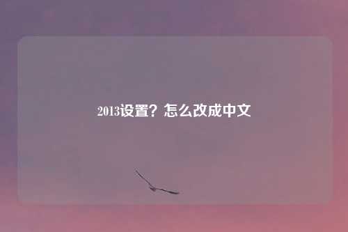 2013设置？怎么改成中文