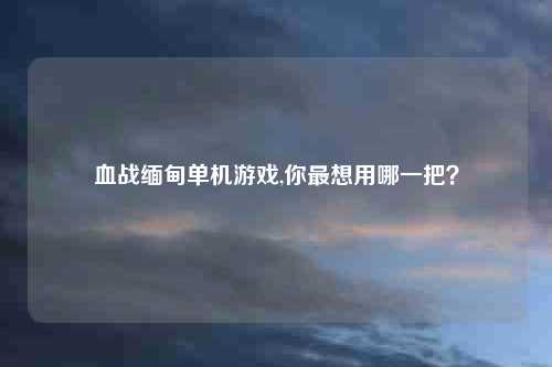 血战缅甸单机游戏,你最想用哪一把?