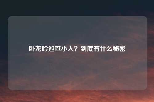 卧龙吟巡查小人？到底有什么秘密