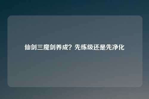 仙剑三魔剑养成？先练级还是先净化