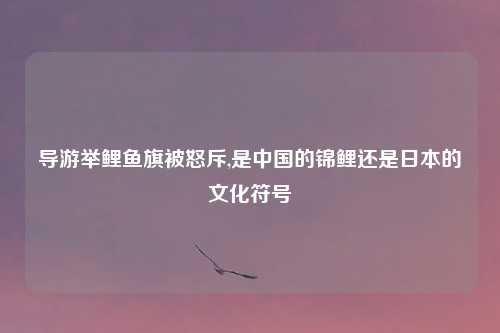 导游举鲤鱼旗被怒斥,是中国的锦鲤还是日本的文化符号
