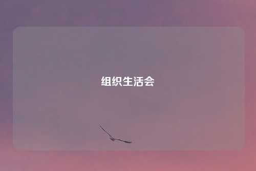 组织生活会