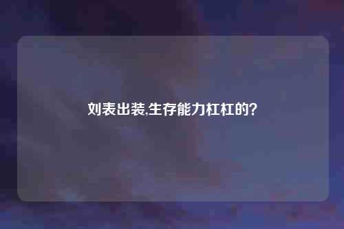 刘表出装,生存能力杠杠的?