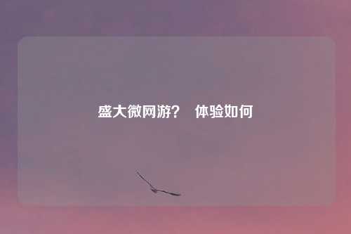 盛大微网游? 体验如何
