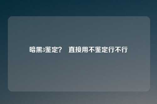 暗黑3鉴定？  直接用不鉴定行不行