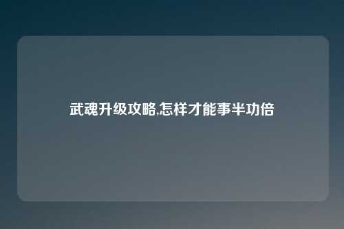 武魂升级攻略,怎样才能事半功倍