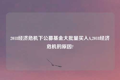 2018经济危机下公募基金大批量买入A,2018经济危机的原因?