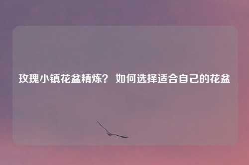 玫瑰小镇花盆精炼？ 如何选择适合自己的花盆