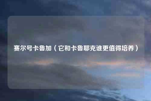 赛尔号卡鲁加（它和卡鲁耶克谁更值得培养）