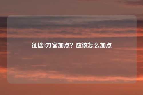 征途2刀客加点?应该怎么加点
