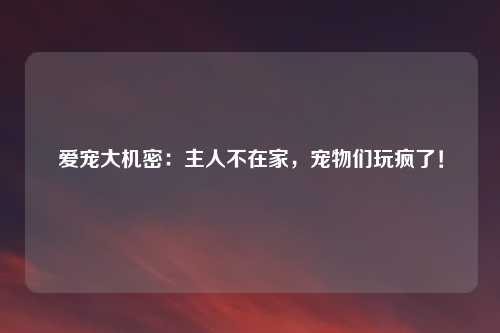 爱宠大机密：主人不在家，宠物们玩疯了！