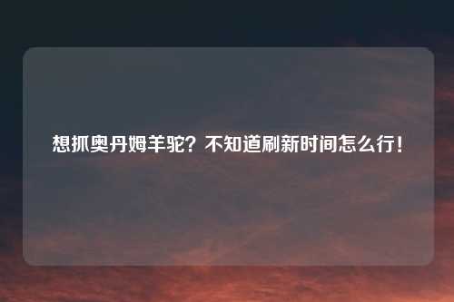 想抓奥丹姆羊驼？不知道刷新时间怎么行！