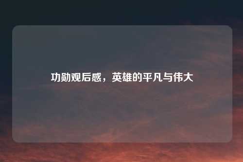 功勋观后感，英雄的平凡与伟大