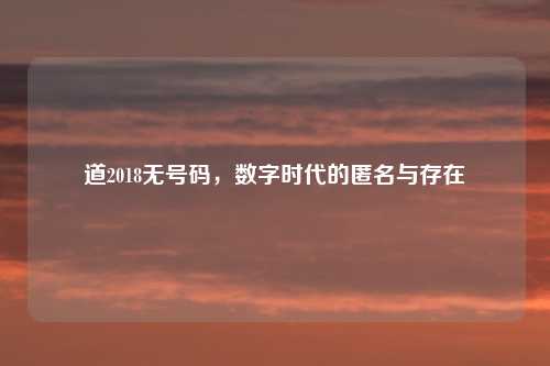 道2018无号码，数字时代的匿名与存在