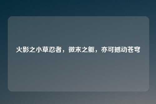 火影之小草忍者，微末之躯，亦可撼动苍穹