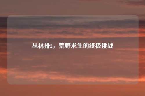 丛林排2，荒野求生的终极挑战