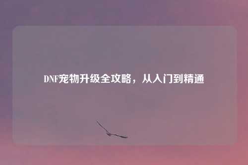 DNF宠物升级全攻略，从入门到精通