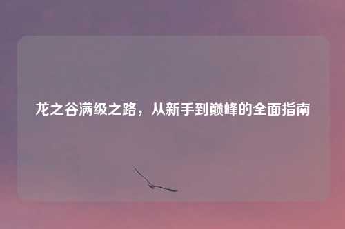 龙之谷满级之路，从新手到巅峰的全面指南