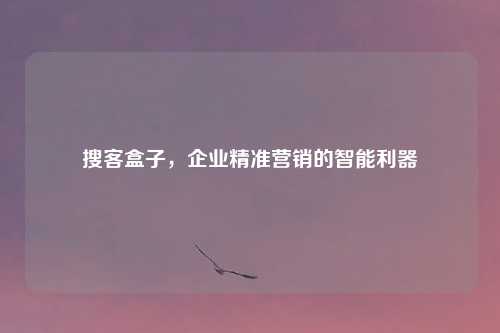 搜客盒子，企业精准营销的智能利器