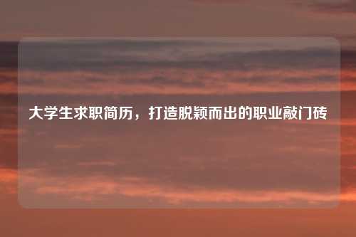 大学生求职简历，打造脱颖而出的职业敲门砖