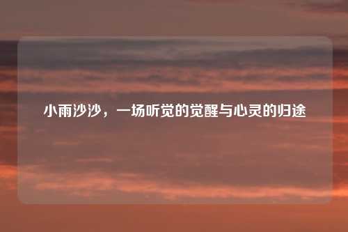 小雨沙沙，一场听觉的觉醒与心灵的归途