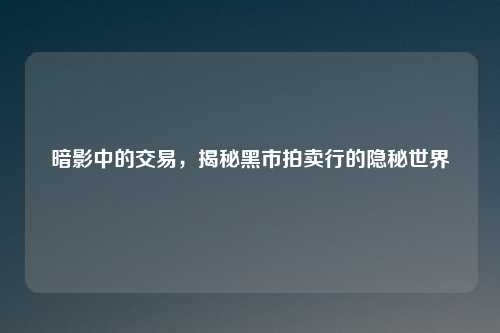 暗影中的交易，揭秘黑市拍卖行的隐秘世界