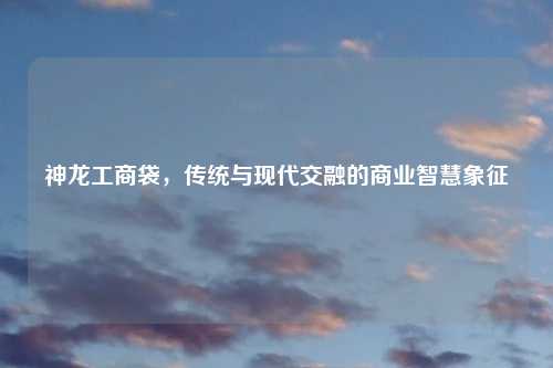 神龙工商袋，传统与现代交融的商业智慧象征