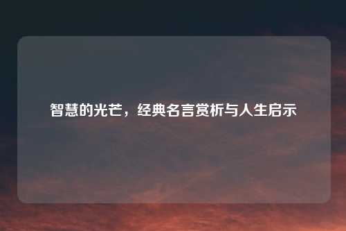 智慧的光芒，经典名言赏析与人生启示