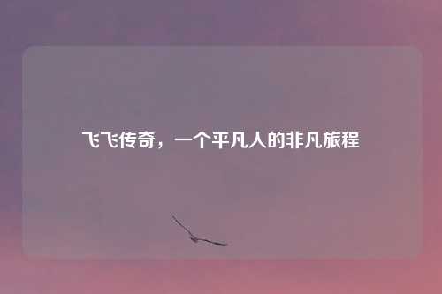 飞飞传奇，一个平凡人的非凡旅程