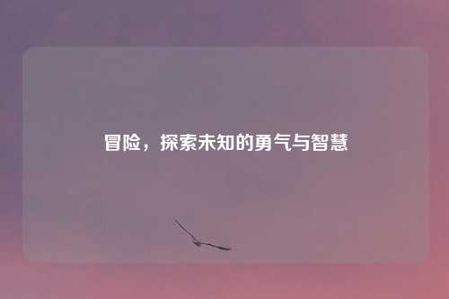 冒险，探索未知的勇气与智慧