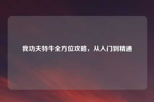 我功夫特牛全方位攻略，从入门到精通