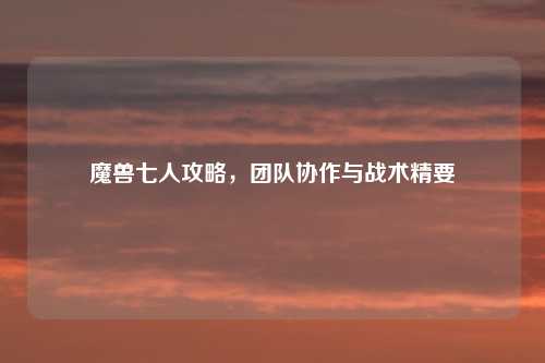 魔兽七人攻略，团队协作与战术精要