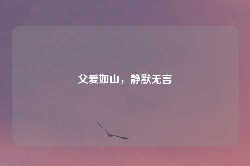 父爱如山，静默无言