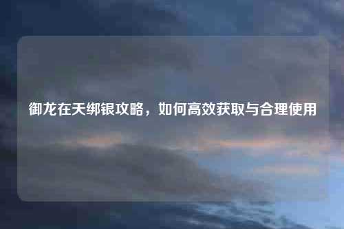 御龙在天绑银攻略，如何高效获取与合理使用